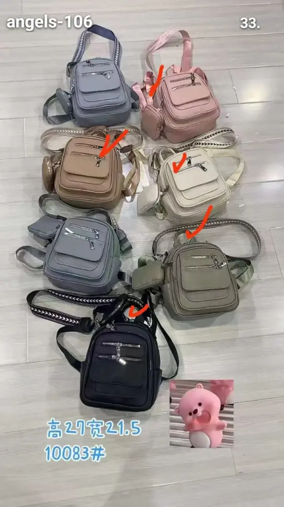 Cartera pequeña tipo mochila  concierre